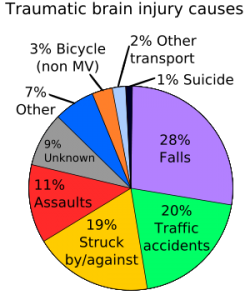 300px-TBI_causes_chart.svg