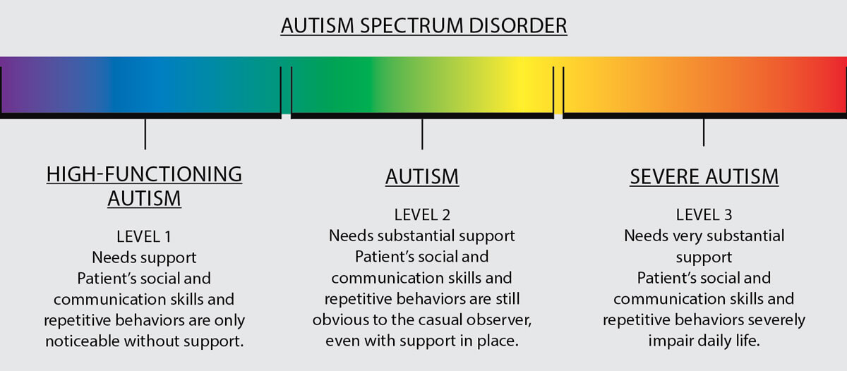 Autism Diagnosis Levels Uk